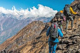 عجیب اما واقعی/ استفاده از مرگ موش توسط فدراسیون کوهنوردی در طبیعت