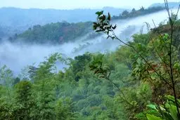 سفر به کلاردشت ممنوع شد