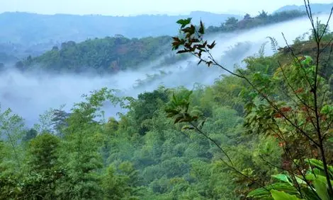 سفر به کلاردشت ممنوع شد