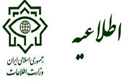 وزارت اطلاعات: شبکه سازمان یافته‌ای از دلالان و سوداگران دارویی دستگیر شدند