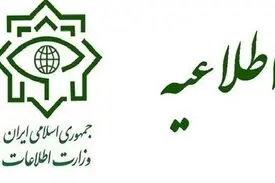 وزارت اطلاعات: شبکه سازمان یافته‌ای از دلالان و سوداگران دارویی دستگیر شدند