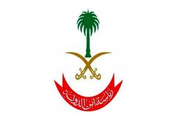 ادعای ریاض؛ یک گروه ۱۰ نفره مرتبط با ایران را دستگیر کردیم