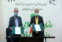 مدافعان سلامت وام بدون کارمزد دریافت می‌کنند