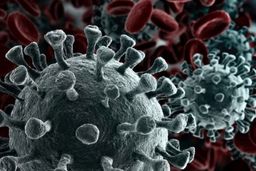 اگر در این ۷ ماه کرونا نگرفتیم، یعنی دیگر نمی‌گیریم؟!