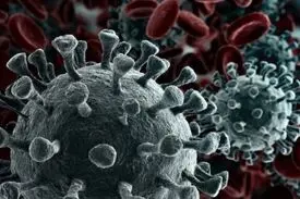 اگر در این ۷ ماه کرونا نگرفتیم، یعنی دیگر نمی‌گیریم؟!