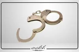 ۳۰ قرص خواب آور برای کشتن صاحبخانه/ پرستار قاتل دستگیر شد