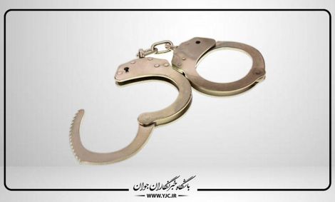 ۳۰ قرص خواب آور برای کشتن صاحبخانه/ پرستار قاتل دستگیر شد