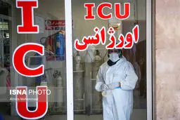 عضو کمیته علمی مقابله با کرونا : باور کنید مرگ «کرونا» سراغ همه ما می‌آید/ تعداد قربانیان بیش از آمار رسمی است
