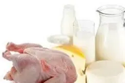 چراغ سبز تنظیم بازار برای گرانی دوباره شیر، مرغ و تخم مرغ + سند