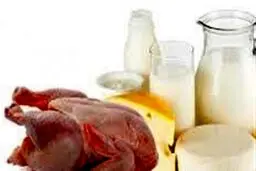 چراغ سبز تنظیم بازار برای گرانی دوباره شیر، مرغ و تخم مرغ + سند