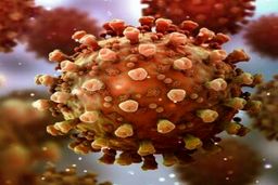 دارویی برای تعدیل پاسخ التهابی در کووید-۱۹ شدید