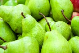 واردات قاچاق گلابی از آمریکا و چین!