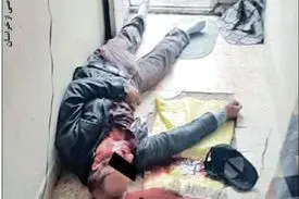 «گرگ شهر» پای چوبه دار