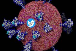 اولین تصویر با وضوح بالا از ویروس کووید ۱۹