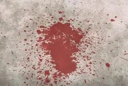 مرگ رازآلود در خانه شماره ٢٩