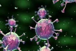 شناسایی ۴ جهش کرونا ویروس خاص ایران