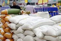 تخصیص ۵۰۰ میلیون دلار ارز نیمایی برای ترخیص برنج تاکنون / برنج مشمول ارز ۴۲۰۰ نیست