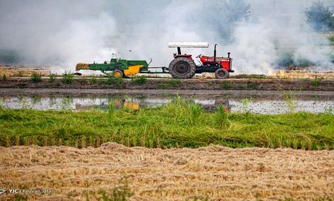 کاهش ۶۵ درصدی بارش نسبت به سال قبل