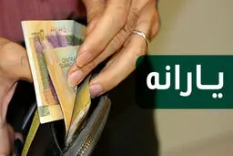 امکان درخواست مجدد دریافت یارانه فراهم شد
