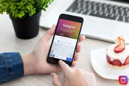 بساط این آقازاده ها را جمع کنید