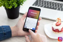 بساط این آقازاده ها را جمع کنید