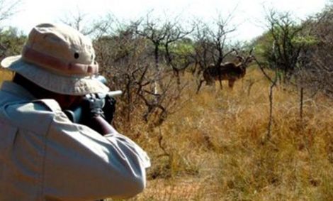 بازار سیاه مجوز‌های شکار!