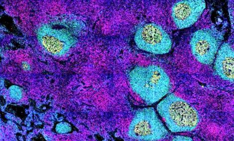 حق کاملا با ماست و بس!