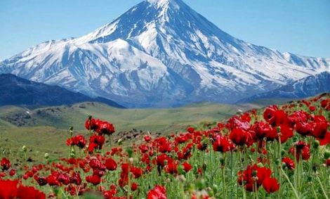 تکذیب واگذاری مدیریت قله دماوند به فدراسیون کوهنوردی