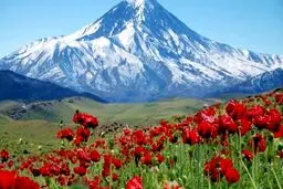 تکذیب واگذاری مدیریت قله دماوند به فدراسیون کوهنوردی