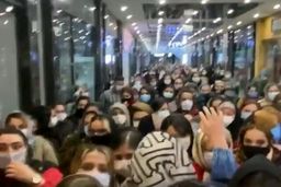 حراج مرگ در “فروش‌های ویژه”