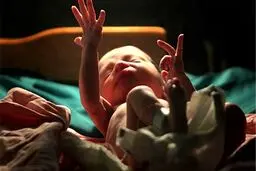 “تاریخ تولد لاکچری” خیانت مادر به نوزاد!