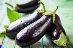 جنجال بادمجان!