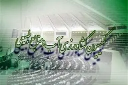 “رزم حسینی” و “خاوازی” برای توضیح درباره علت گرانی مرغ به مجلس نرفتند