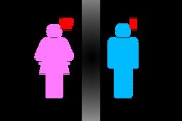 ردپای تفکیک جنسیتی در دولت؛ چرا واقعا؟