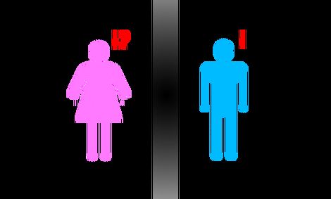 ردپای تفکیک جنسیتی در دولت؛ چرا واقعا؟