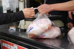 چه کسی مسئول گران شدن مرغ است؟
