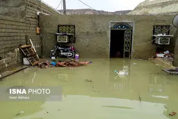 تخلیه آب از ۷۰ واحد مسکونی دچار آبگرفتگی در بوشهر