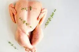 راه‌های تشخیص مرغ تازه و یخ زده هنگام خرید