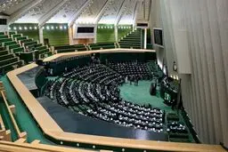 مجلس لااقل تا استقرار دولت بایدن صبر می‌کرد