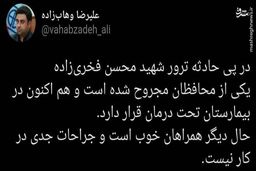 گزارش مشاور وزیر بهداشت از وضعیت محافظان شهید فخری زاده