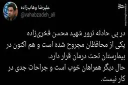 گزارش مشاور وزیر بهداشت از وضعیت محافظان شهید فخری زاده