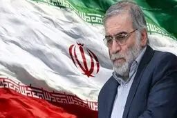 واکنش‌های خارجی به ترور شهید فخری‌زاده