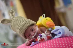 نوزاد ۶۰۰ گرمی به خانه می‌رود