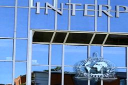 «نیلی افشار» هنوز دستگیر نشده است/ اختفای او در ازمیر ترکیه