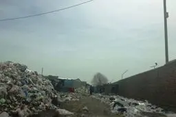 معرفی ۴ شهرداری متخلف به مرجع قضایی در غرب تهران