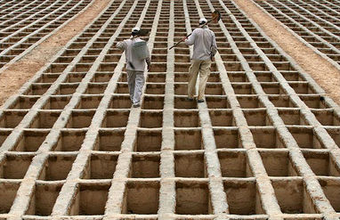 بهشت ‌زهرا بخش مخصوص کرونا ندارد