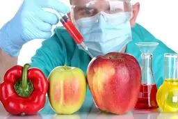 واردات محصولات تراریخته سیاسی است؟‌