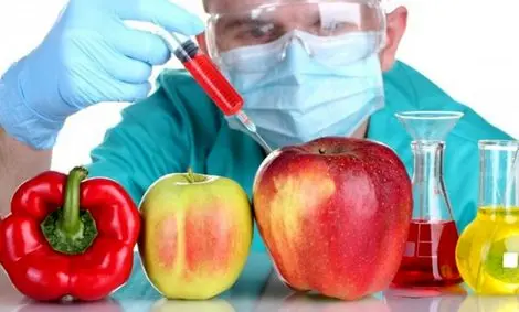 واردات محصولات تراریخته سیاسی است؟‌