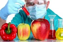 واردات محصولات تراریخته سیاسی است؟‌