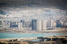 ماجرای مشاهده تمساح در دریاچه چیتگر چیست؟+ عکس